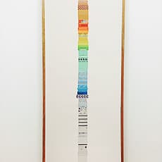 Reyes Santiago Rojas