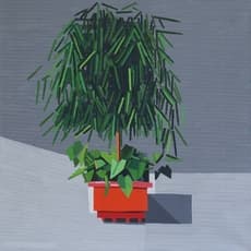 Guy Yanai