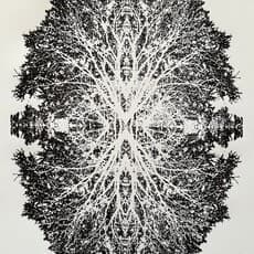 Frederick Gladding Kahl