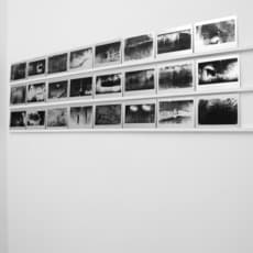 Antony Cairns