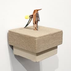 Choong-Sup Lim