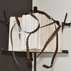 Luigia Gio Martelloni