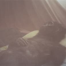 Apichatpong Weerasethakul