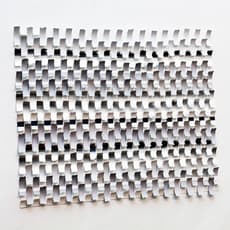 Joan Grubin