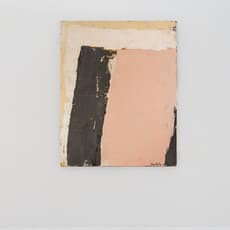 María José de Simón