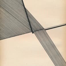 Árpád Fenyvesi Tóth