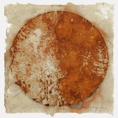 Christine Corday