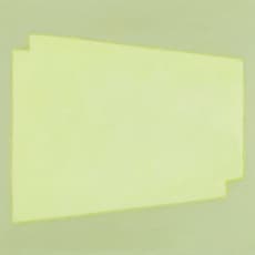 Chen Lizhu 陈丽珠