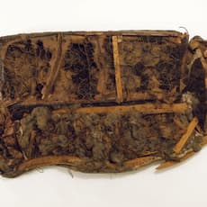 RAPHAEL MONTAÑEZ ORTIZ