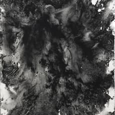 Carl Trahan
