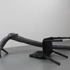 Dorian Sari