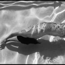 Deanna Templeton
