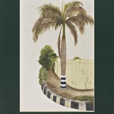 David Chalmers Alesworth