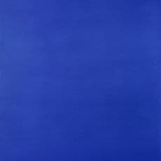 Yves Klein