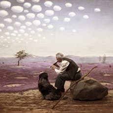 Teun Hocks