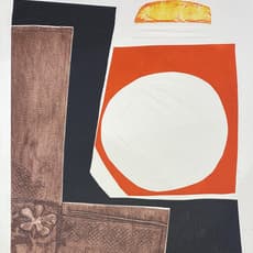Anne Meredith Barry