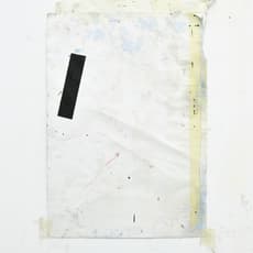 Manuel Martínez Romero