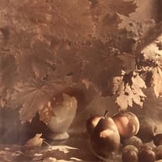 Arkady Shishkin