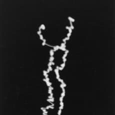Harry Callahan