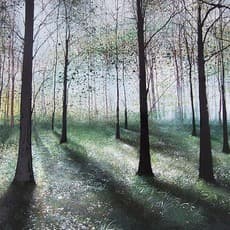 Beckie Reed