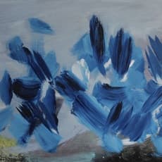 Lisa Carter-Grist