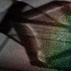 Miranda Lichtenstein