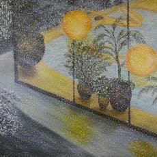 Kim Won Sook