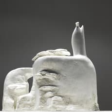 Huo bo yang