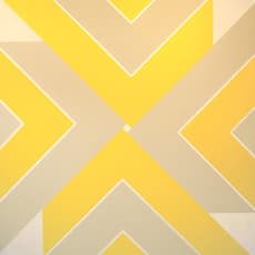 Elaine Lustig Cohen