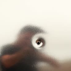 Christopher James Chandler