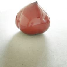 Sasai Fumie 笹井史恵