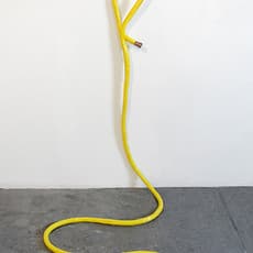 Tamara Johnson
