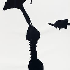 Anna Maria Maiolino, Untitled (1999)