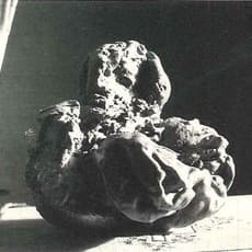 Katsuhiro Yamaguchi