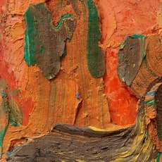 Zhu Jinshi