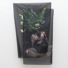 Joaquín Stacey-Calle