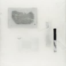 Barbara Hainz