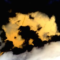 Du Yingnan 杜英男