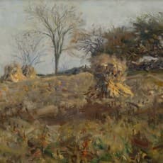 Charles Harold Davis