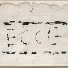 Zoltán TÖLG-MOLNÁR