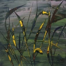 Jiří Vincenc Slavíček