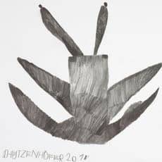 Günther Schützenhöfer