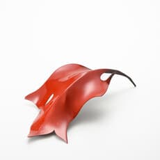 Shingo MURAMOTO 村本真吾