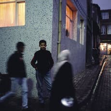 Alex Webb