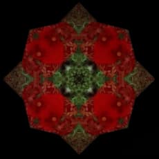 Inge Nabuurs & Erwin Van Doorn