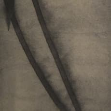 Dai Mouyu 戴牟雨