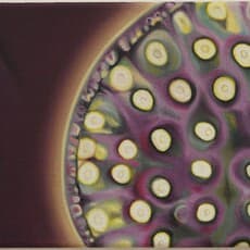 Hannah Konrad Hannah Konrad