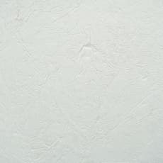 Danielle Zelna Alexander