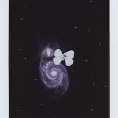 Amelia Konow