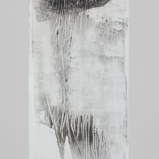 Adrian Tone